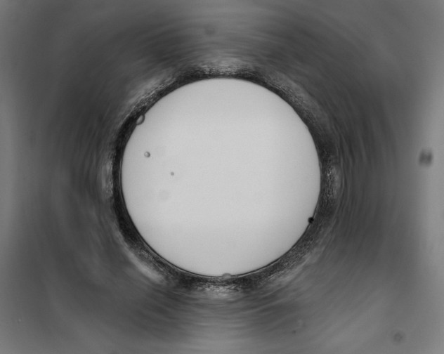 X0000101200638200807251026