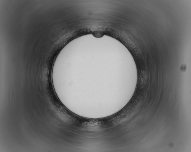 X0000101200639200807251026