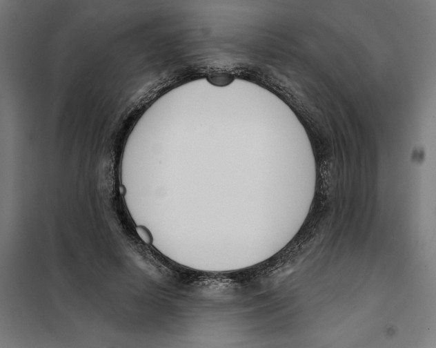 X0000101200642200807251027