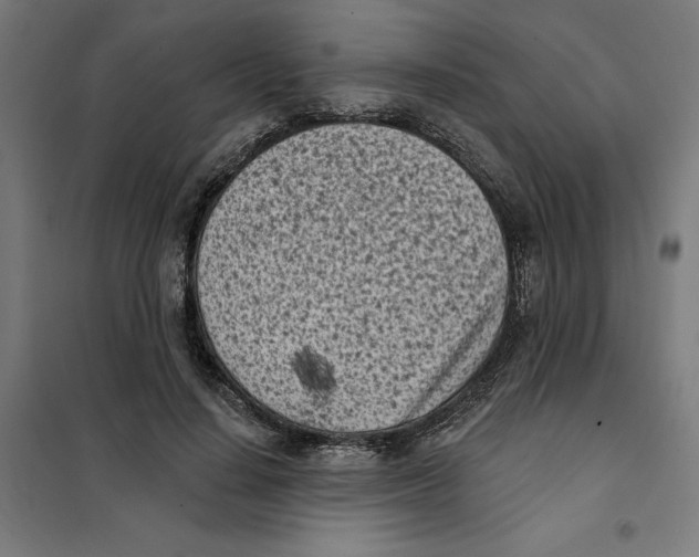 X0000101200644200807251027