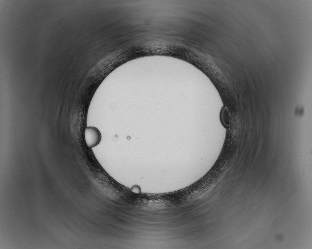 X0000101200645200807251027