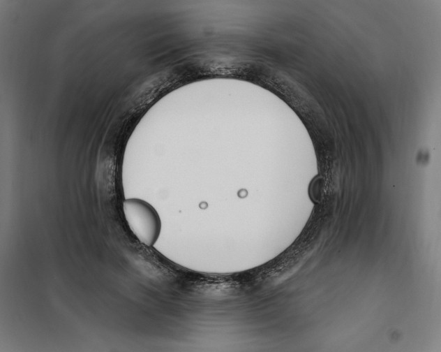 X0000101200646200807251027