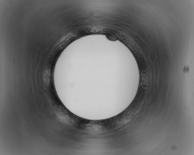 X0000101200648200807251027