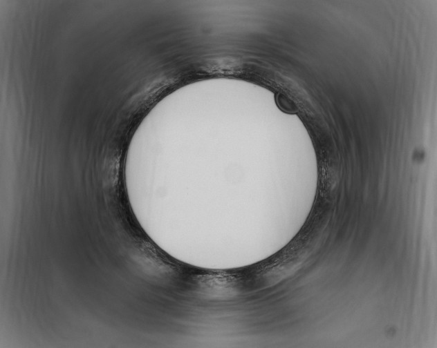 X0000101200652200807251027