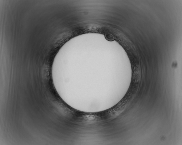 X0000101200654200807251027