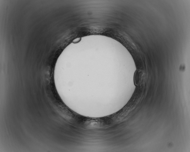 X0000101200655200807251027