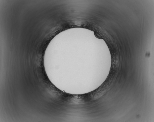 X0000101200656200807251027