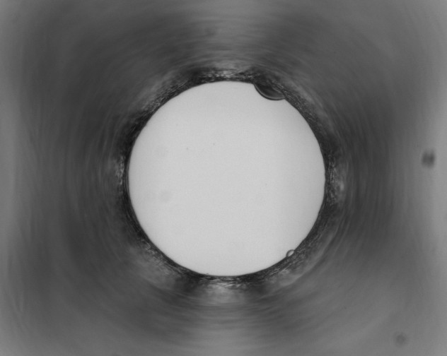 X0000101200657200807251027