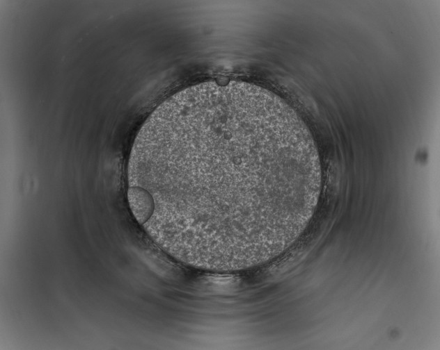 X0000101200659200807251027