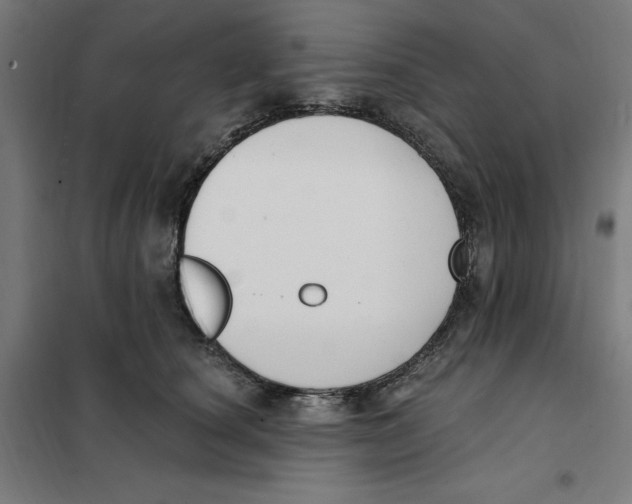 X0000101200660200807251027