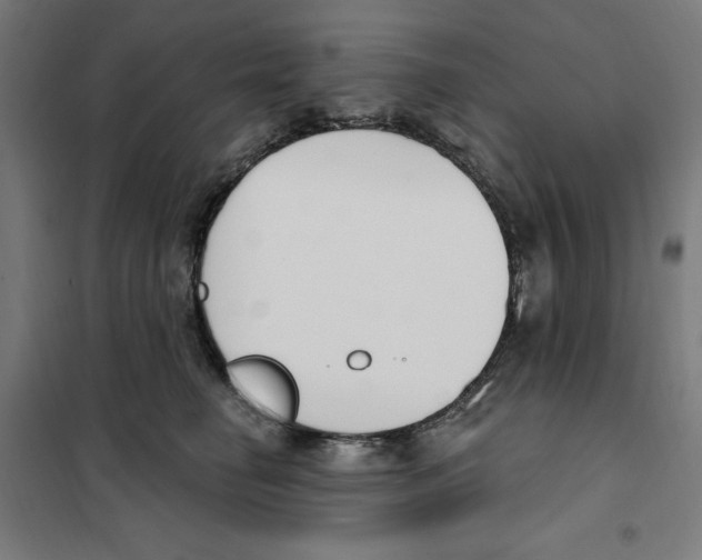 X0000101200662200807251027