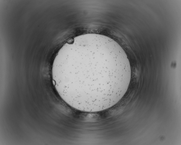 X0000101200663200807251027