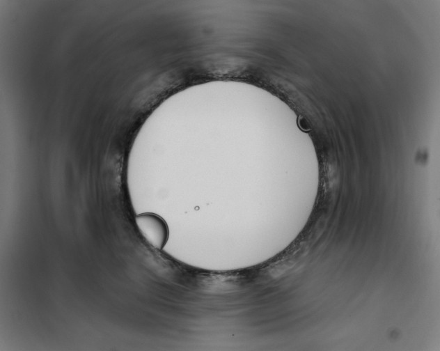 X0000101200664200807251027