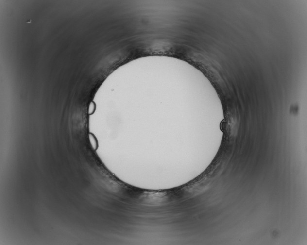 X0000101200665200807251027