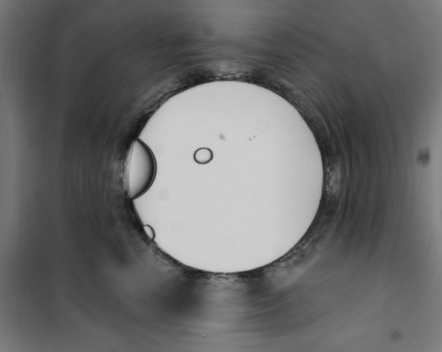 X0000101200666200807251027