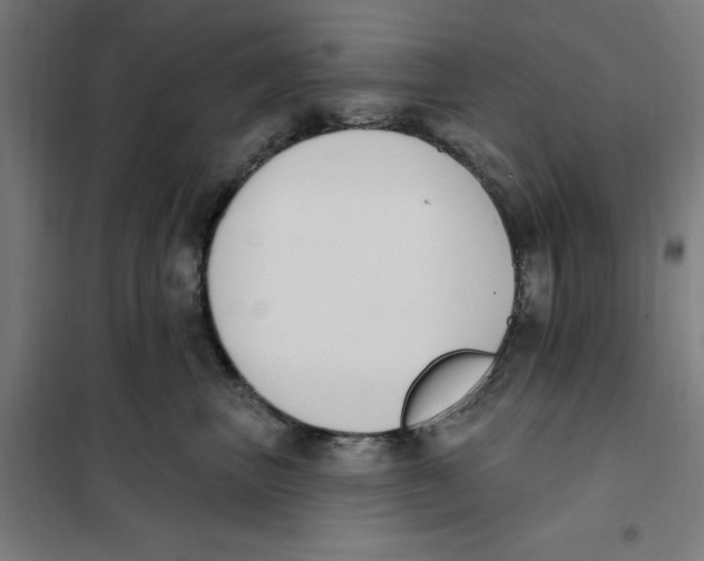 X0000101200667200807251027