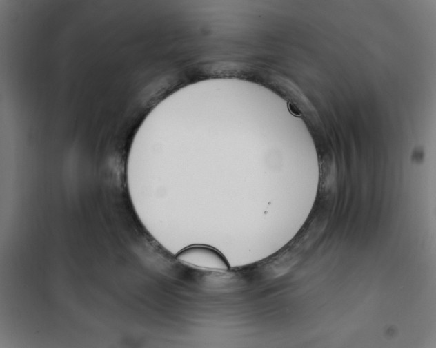 X0000101200669200807251027