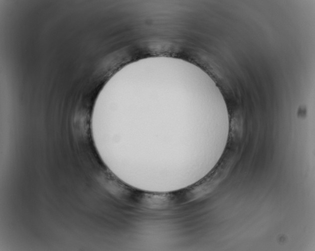 X0000101200671200807251027