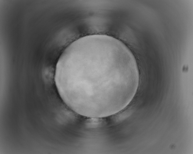 X0000101200672200807251027