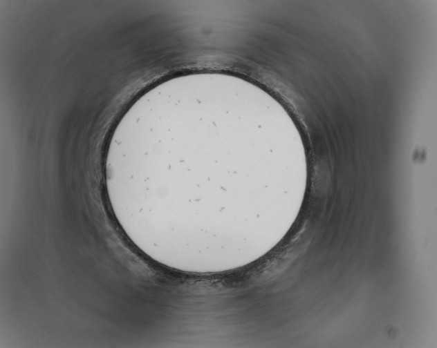 X0000101200673200807251026