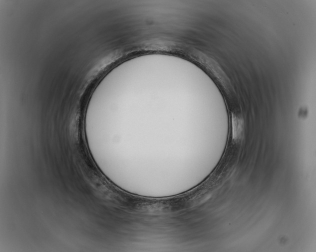 X0000101200675200807251026