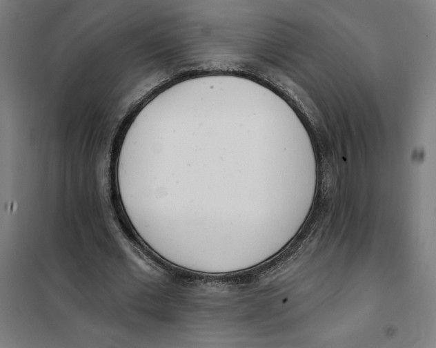 X0000101200677200807251026