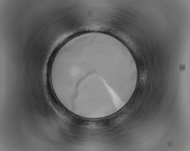 X0000101200678200807251026