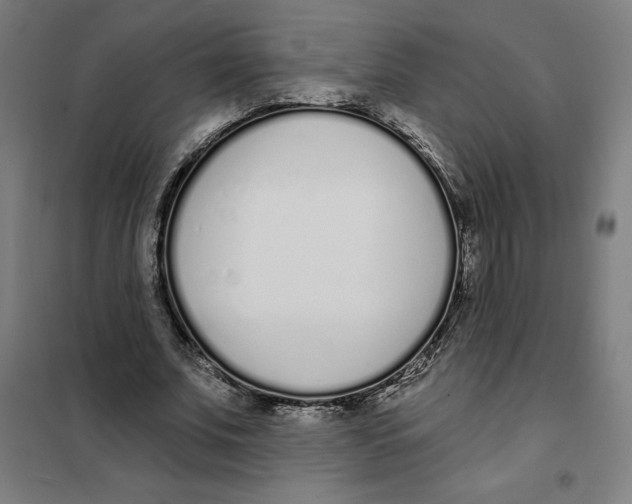 X0000101200679200807251026