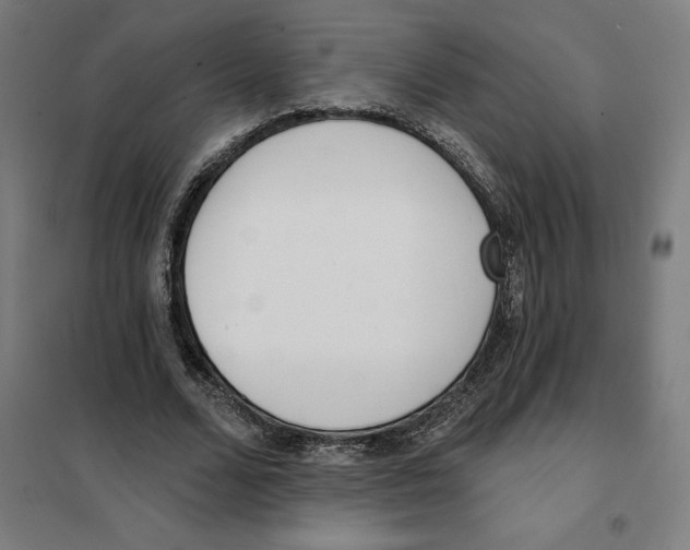 X0000101200680200807251026