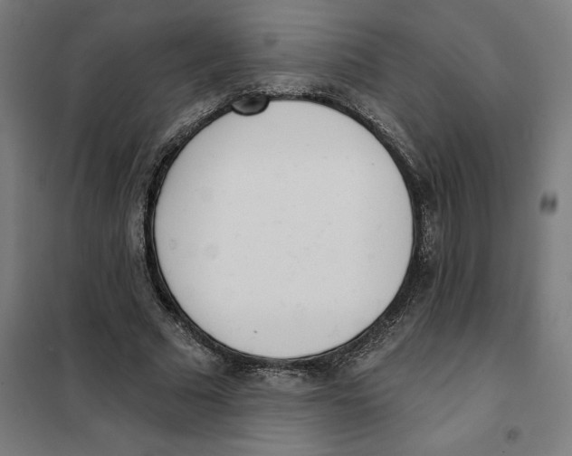 X0000101200681200807251026