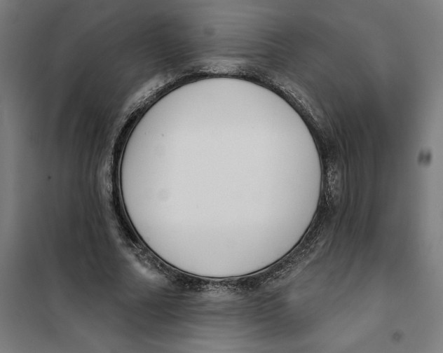 X0000101200682200807251026