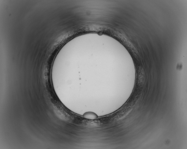 X0000101200683200807251026