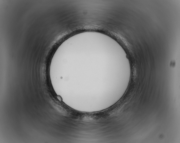 X0000101200684200807251026