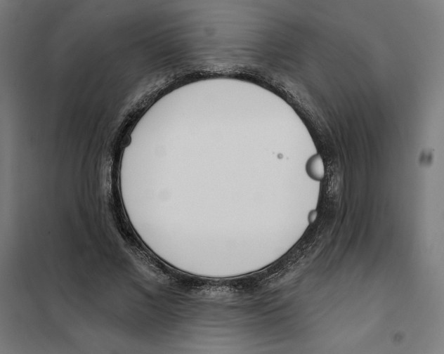 X0000101200685200807251026