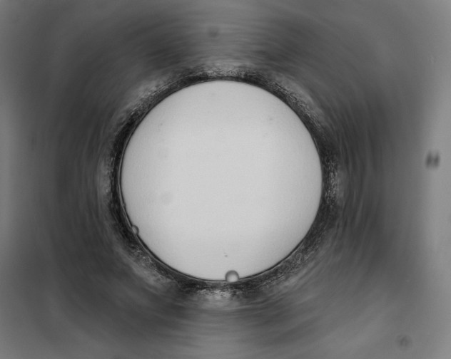 X0000101200687200807251026