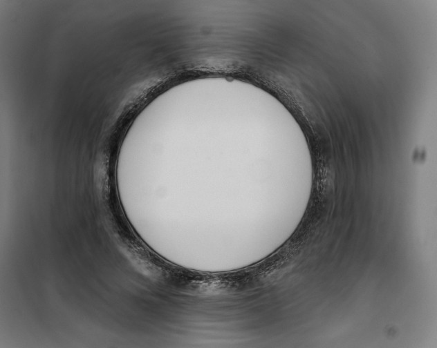 X0000101200688200807251026