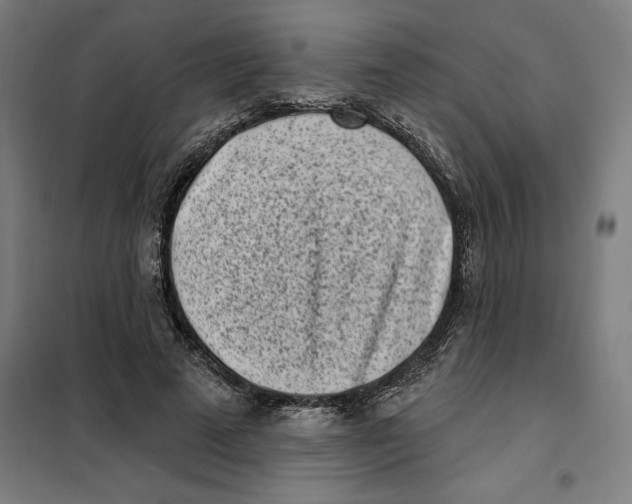 X0000101200689200807251026