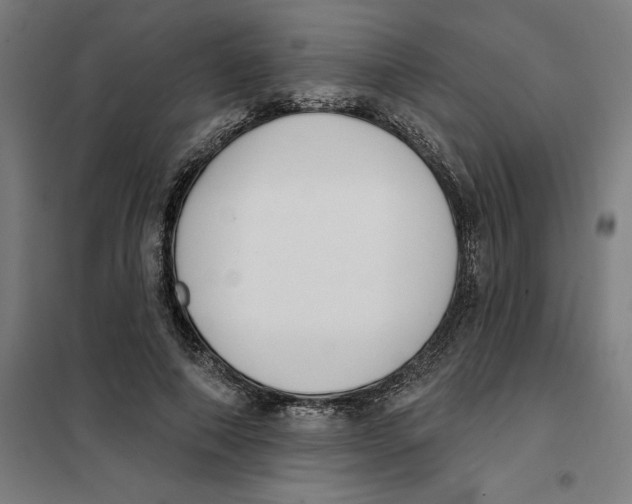 X0000101200690200807251026