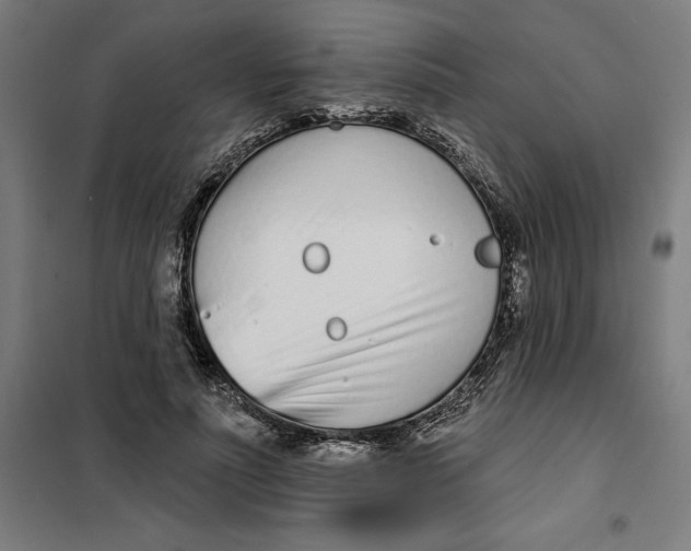 X0000101200691200807251026