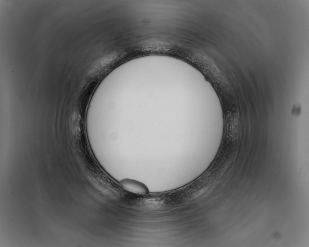 X0000101200692200807251026