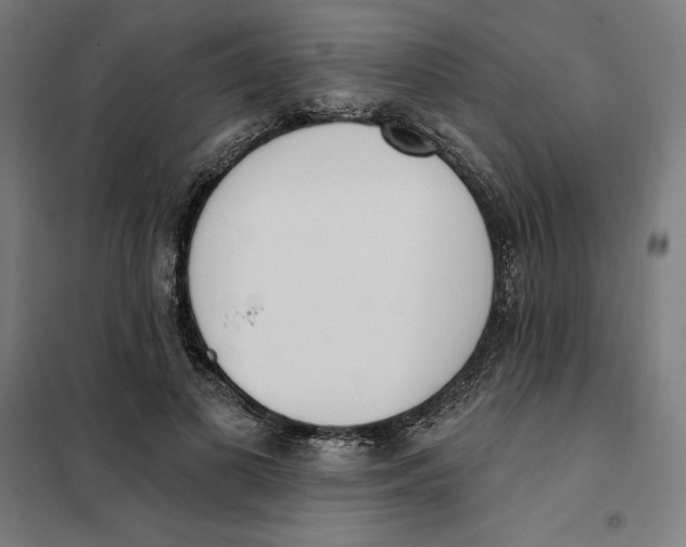 X0000101200693200807251026