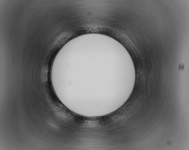 X0000101200694200807251026