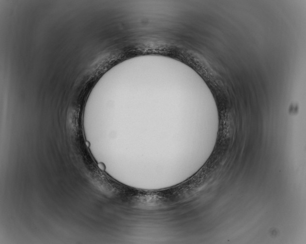 X0000101200695200807251026