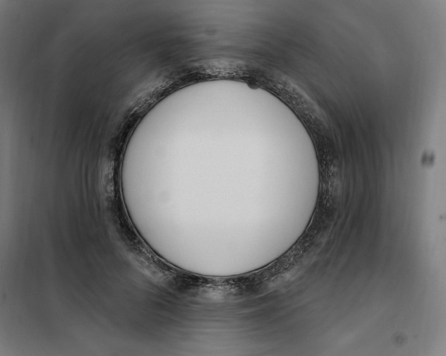 X0000101200696200807251026