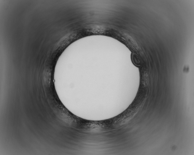 X0000101200697200807251026