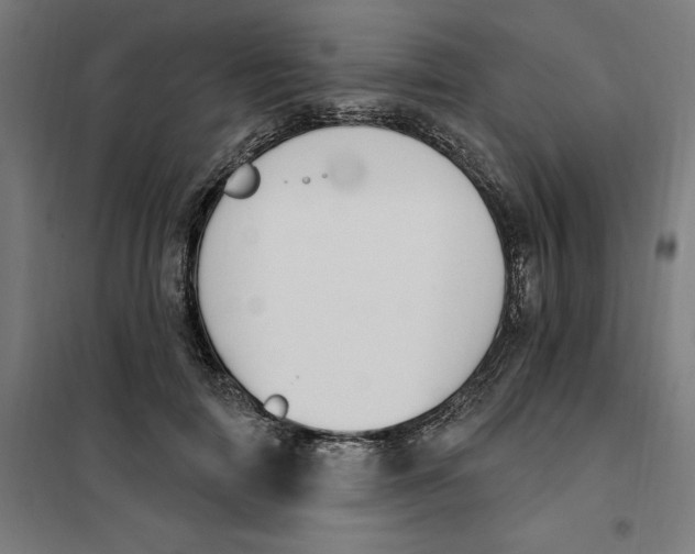 X0000101200698200807251026