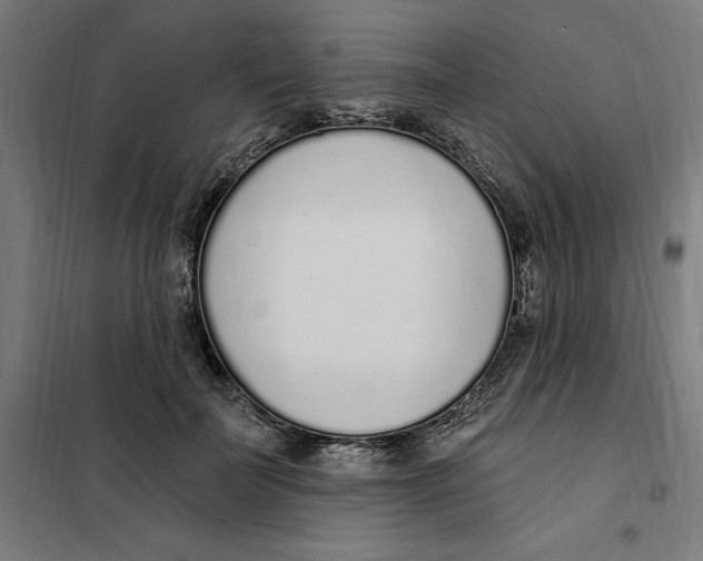 X0000101200699200807251026