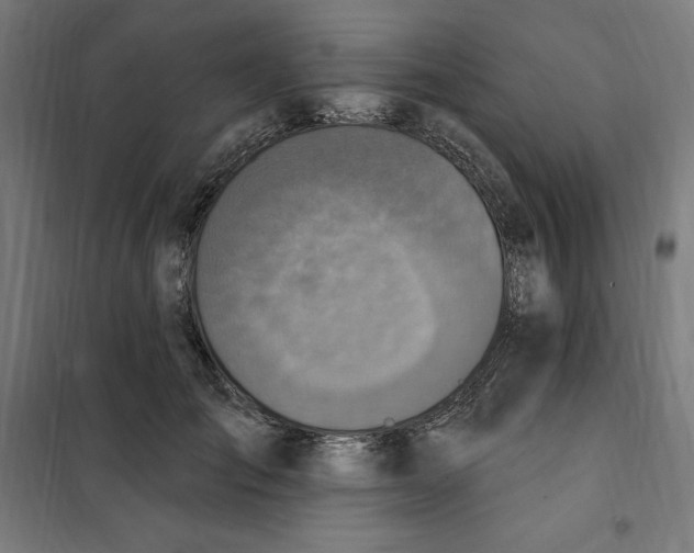 X0000101200701200807251026