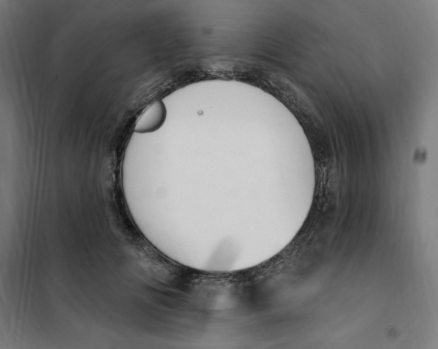 X0000101200702200807251026