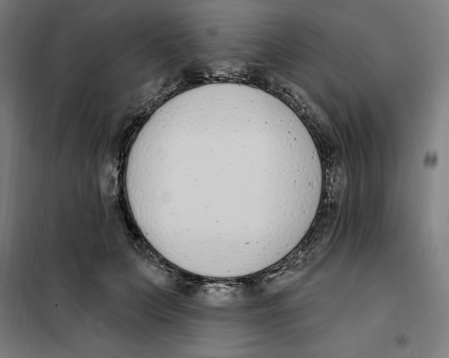 X0000101200703200807251026